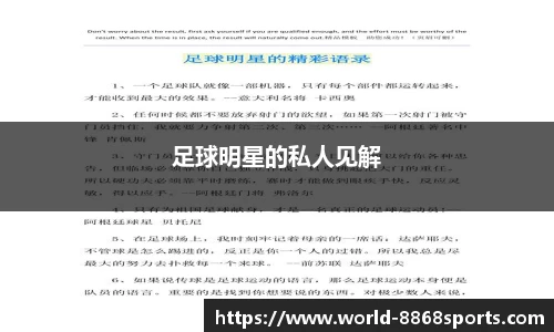 足球明星的私人见解